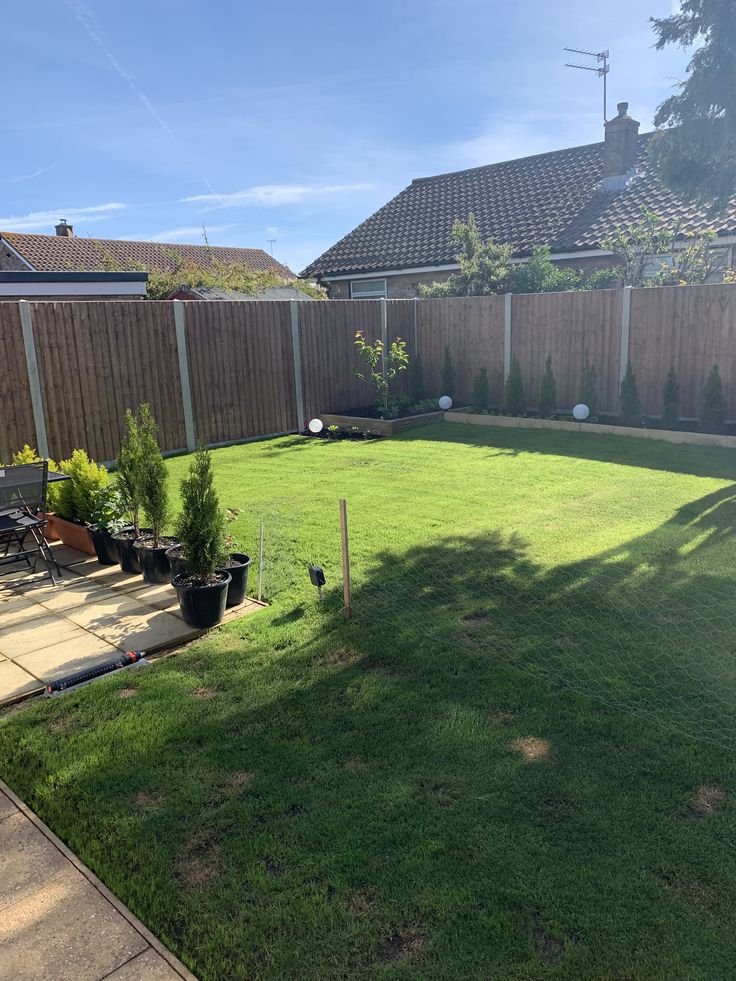 Backyard tidy-up