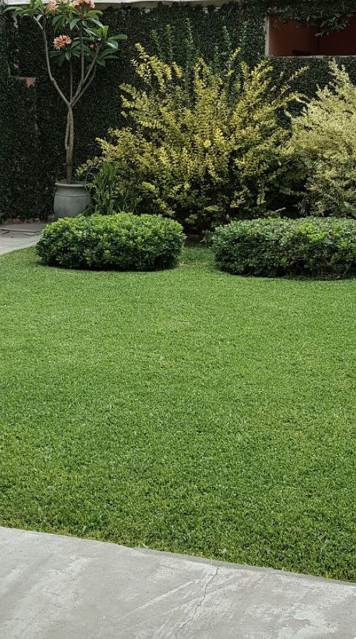 Garden refresh