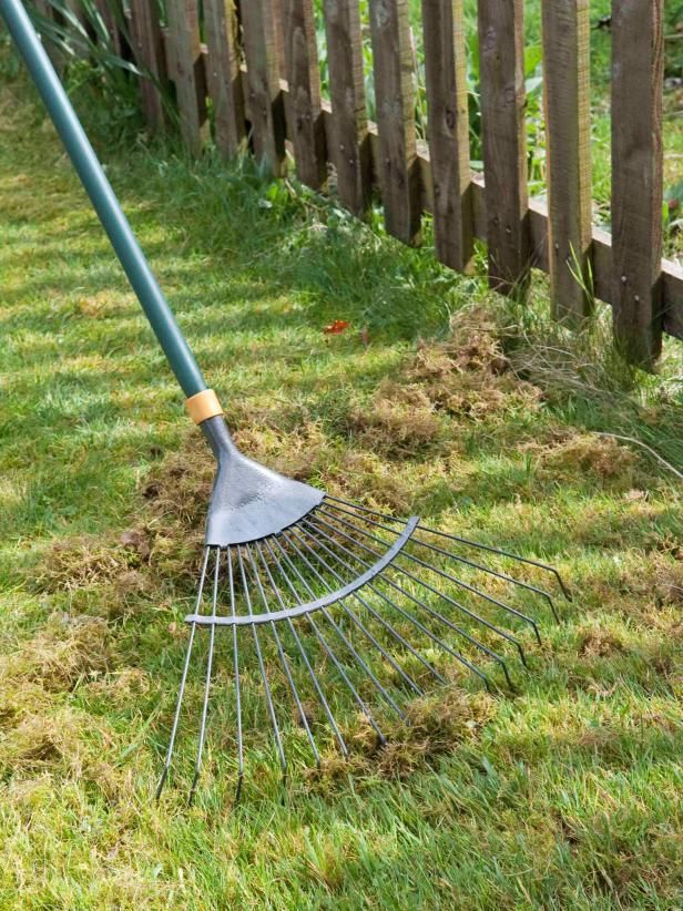 Garden Cleanup