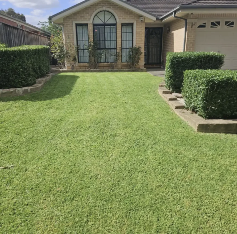 A freshly mowed green lawn leading to a brick home with neat hedges