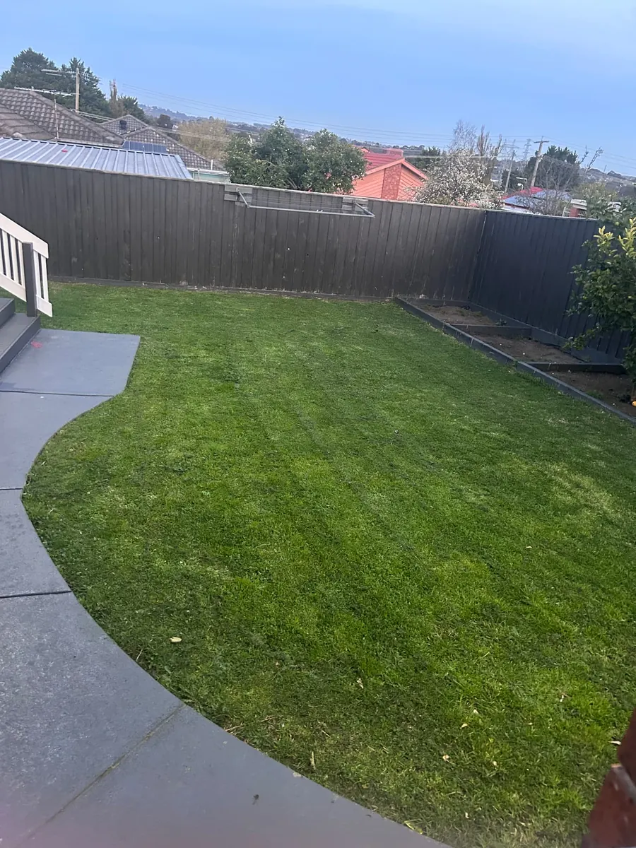 Freshly mown Hallam backyard lawn beside a curved paved path